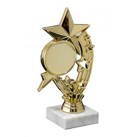 Приз 07-190 G "Звезда"